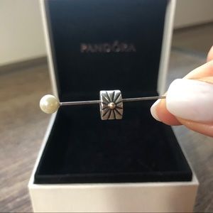 Pandora two-toned clip